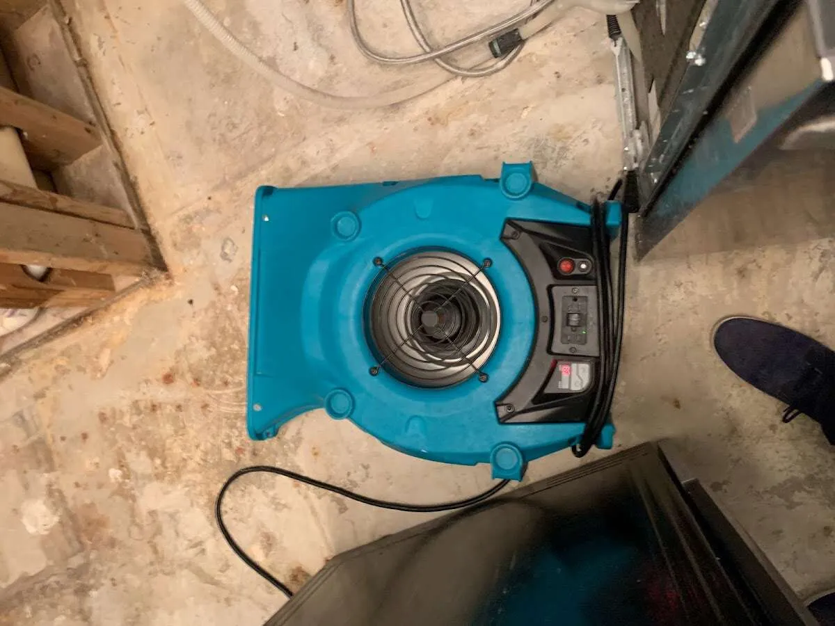 Air mover drying equipment for Mold Remediation & Removal in Marlin